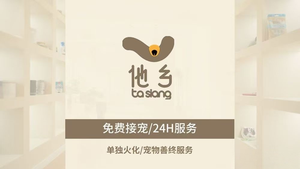 襄城他乡宠物善终